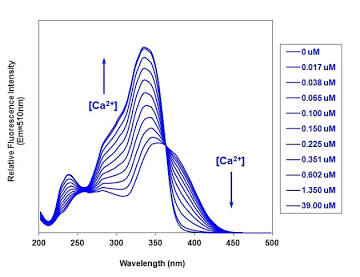 Pergeseran Spektrum Eksitasi Fura-2 akibat Pengikatan Kalsium. Sumber: AAT Bioquest